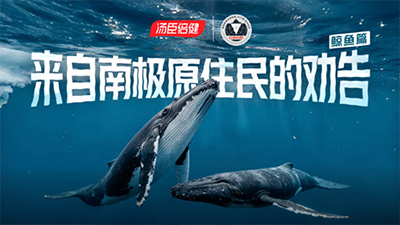 汤臣倍健 南极科考-鲸鱼篇